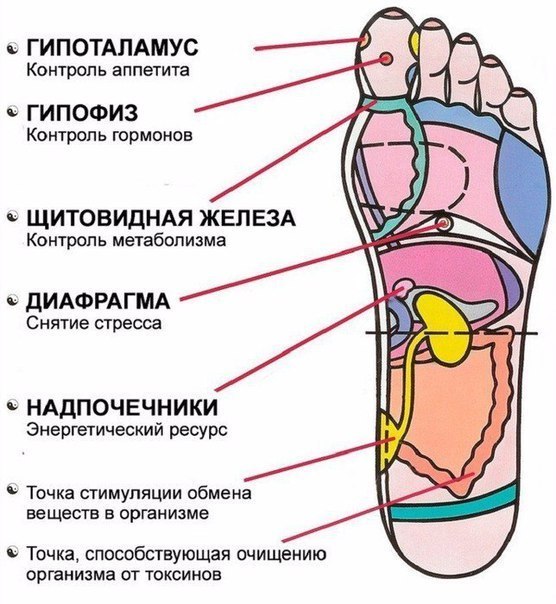 7 активных точек на стопе вернут тебя к жизни за пару минут!