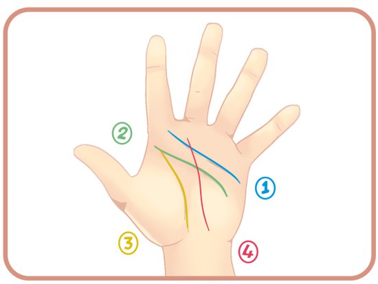 Как читать линии на руках